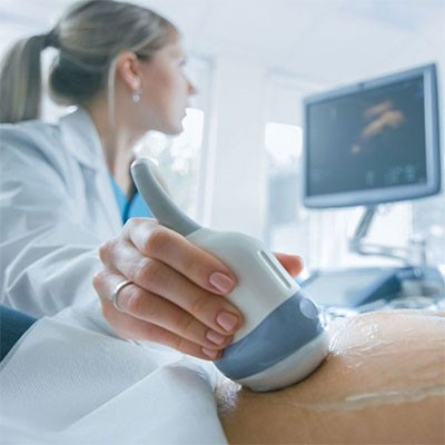 متخصصین تصویر برداری