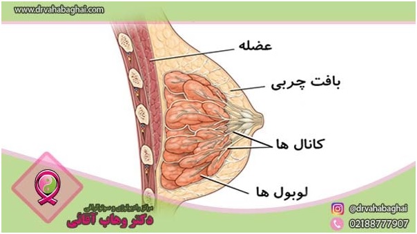 عمل فیبروکیستیک
