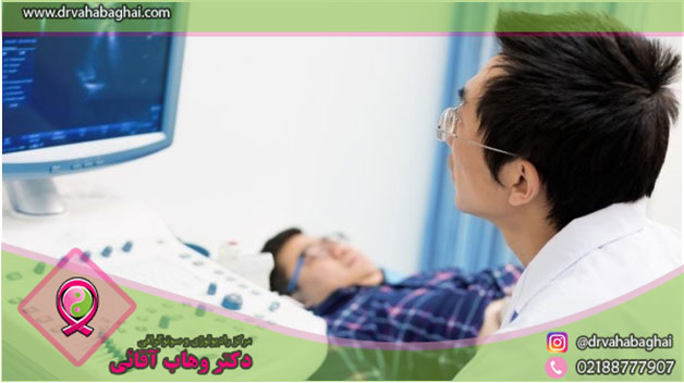 اصطلاحات سونوگرافی بیضه ها