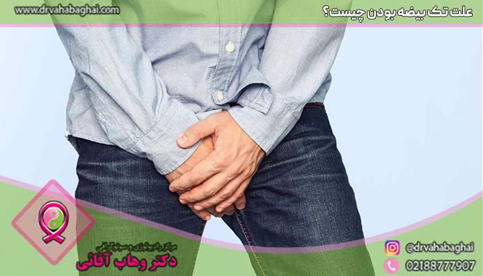 علت تک بیضه بودن چیست