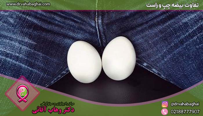 تفاوت بیضه چپ و راست