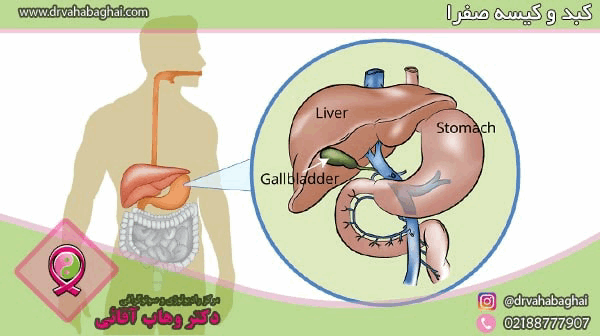 همه چیز درباره کبد و کیسه صفرا