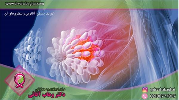 تعریف پستان(BREAST ) آناتومی و بیماری‌های مربوط به سینه