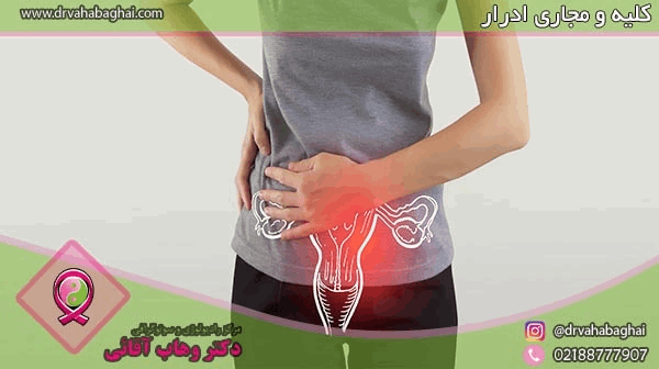 کلیه ها و مثانه و مجاری ادراری