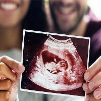 سونوگرافی دو بعدی