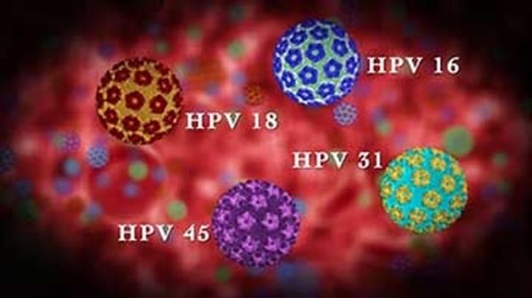 پاپیلومای انسانی HPV چیست؟ (عامل سرطان گردن، رحم و زگیل تناسلی)